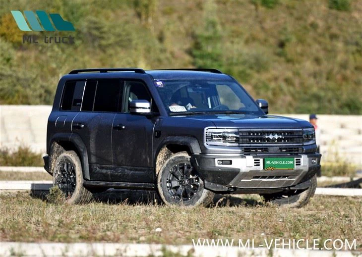 BYD Formula Leopard 5