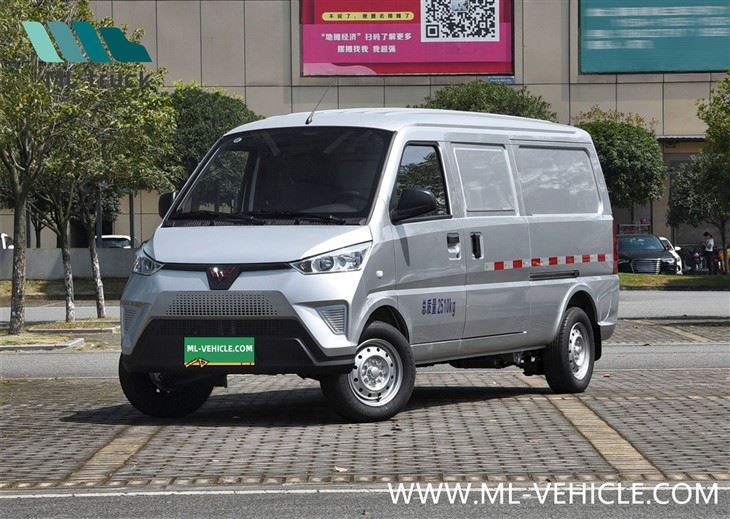 वूलिंग ईवी 50